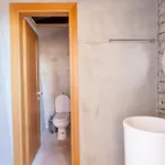 Alivia Lefkas Luxury Βίλα