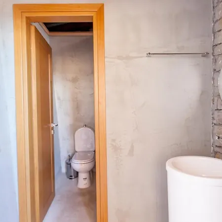 Alivia Lefkas Luxury Vilă